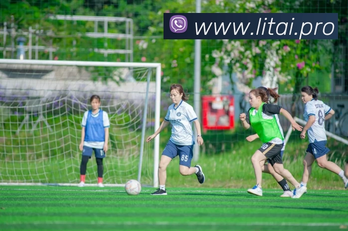 多媒体互动体验